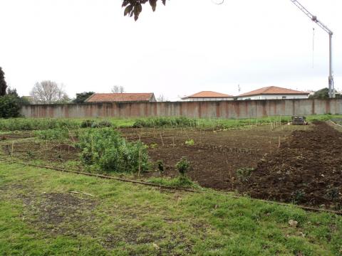 Imagem abrangente do espaço da horta escolar